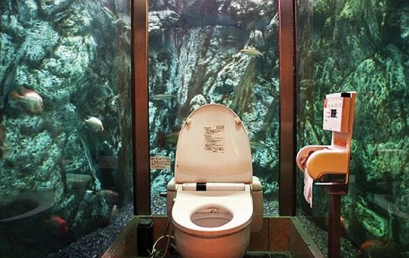 Des toilettes entoures d un immense aquarium - des chiottes dans un aquarium