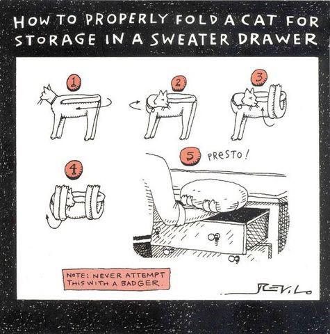 Notice pour ranger votre chat proprement :) - fold a cat