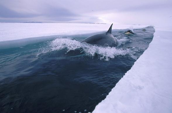 Un route dans la glace - ice road