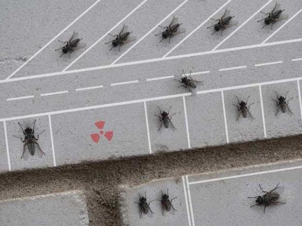 Un parking a mouche ! - parking