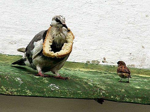 On est jamais trop prudent, mieux vaut faire des provisions - provisions
